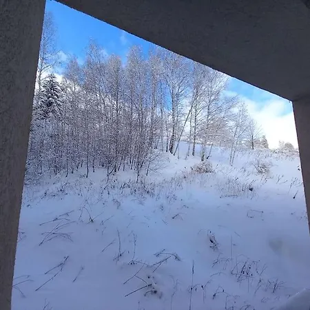 Plein Centre Des 2 Alpes Apartman *