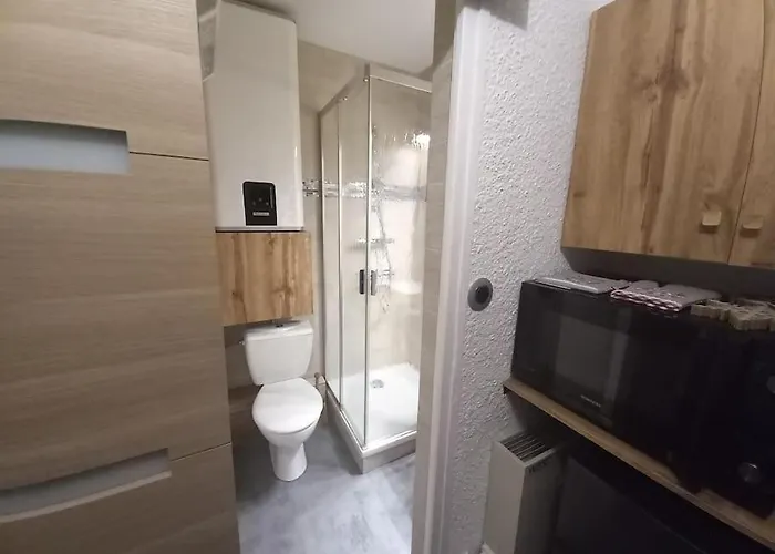 Plein Centre Des 2 Alpes Les Deux Alpes