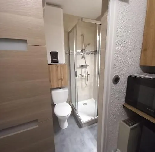 Plein Centre Des 2 Alpes Apartman