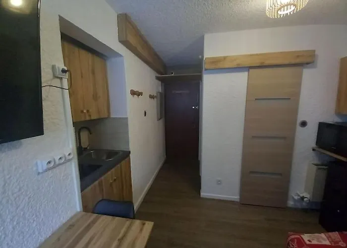 Plein Centre Des 2 Alpes * Les Deux Alpes