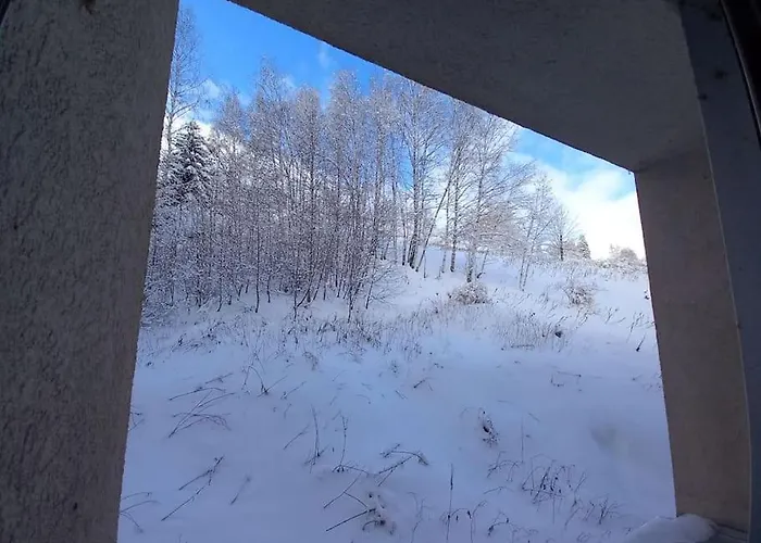 Plein Centre Des 2 Alpes Daire *