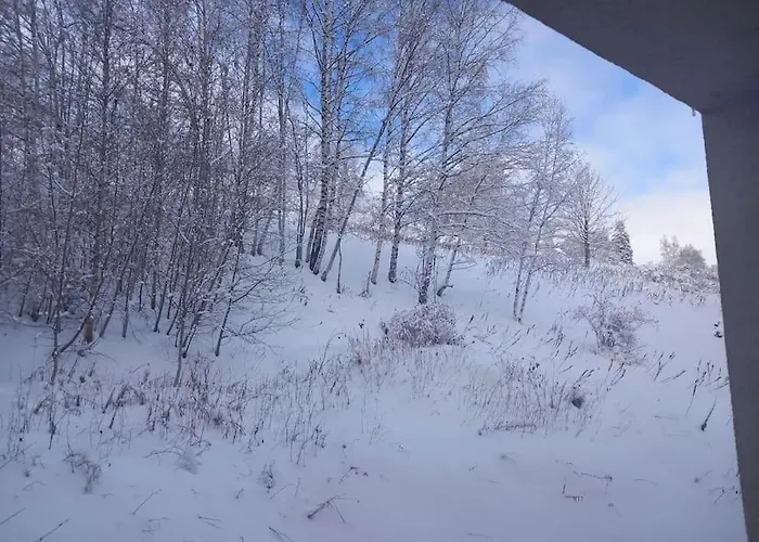 Plein Centre Des 2 Alpes Apartman