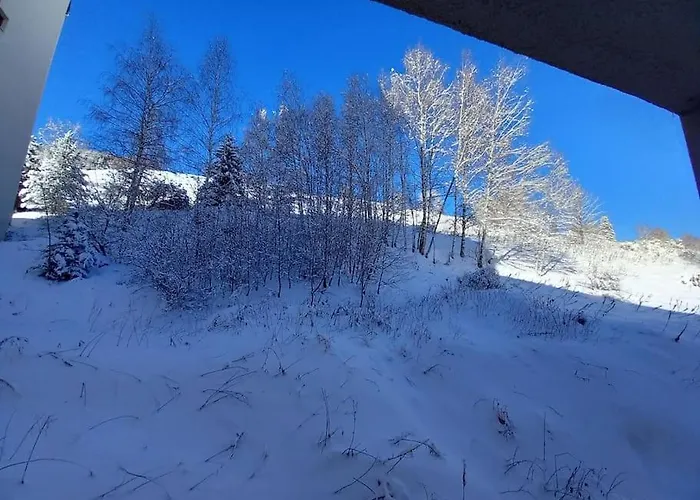 Plein Centre Des 2 Alpes Apartman